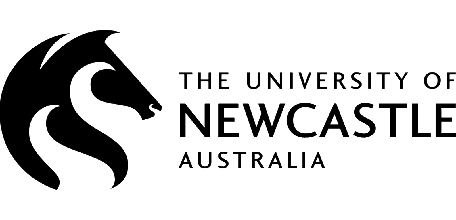 university if newcastle